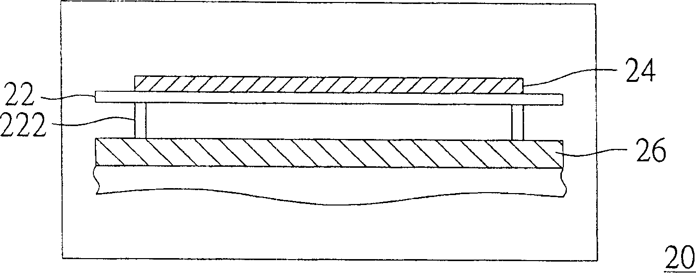 UV curing apparatus for group substrate