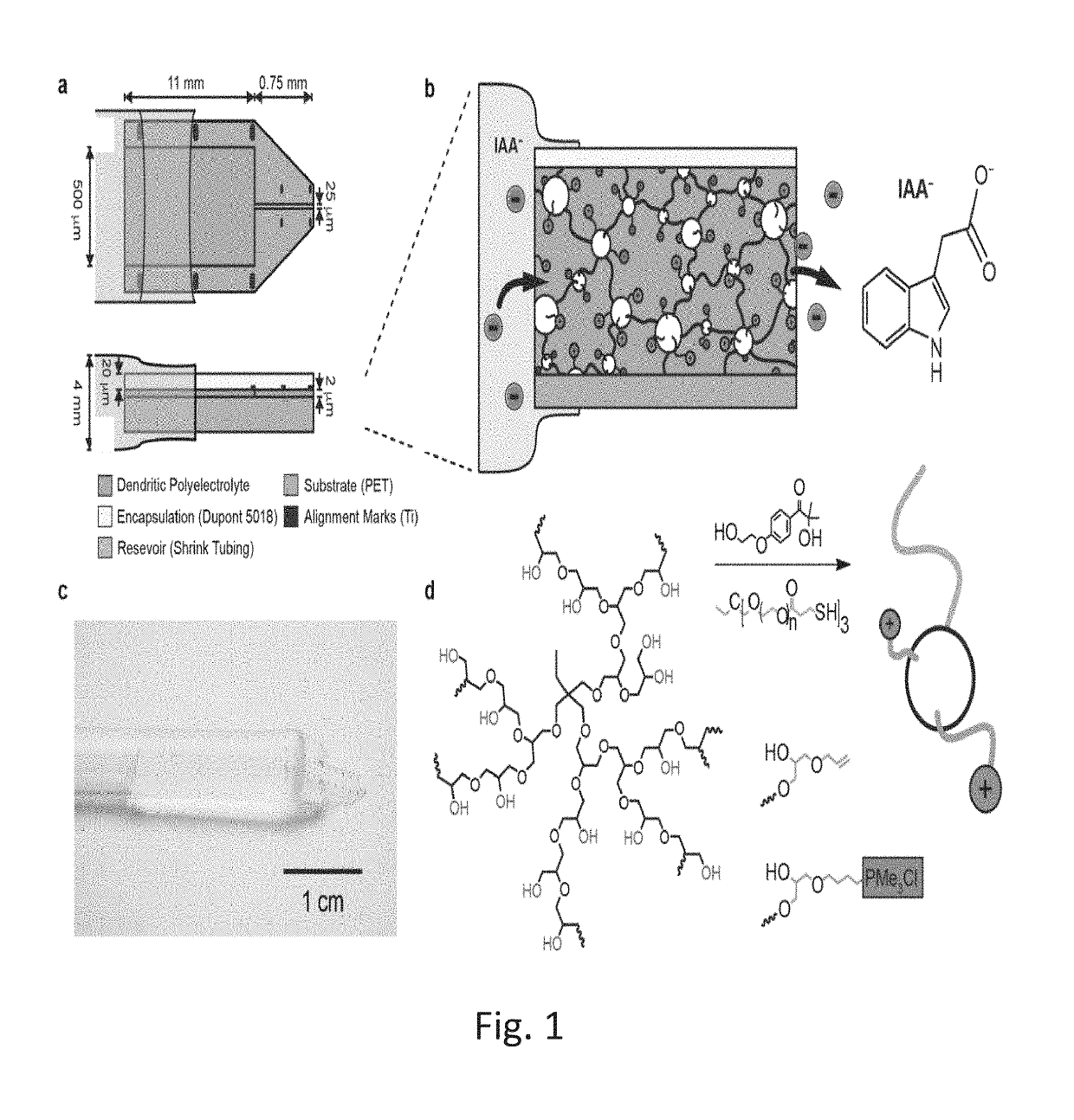 Ion pump with hyperbranched polymers