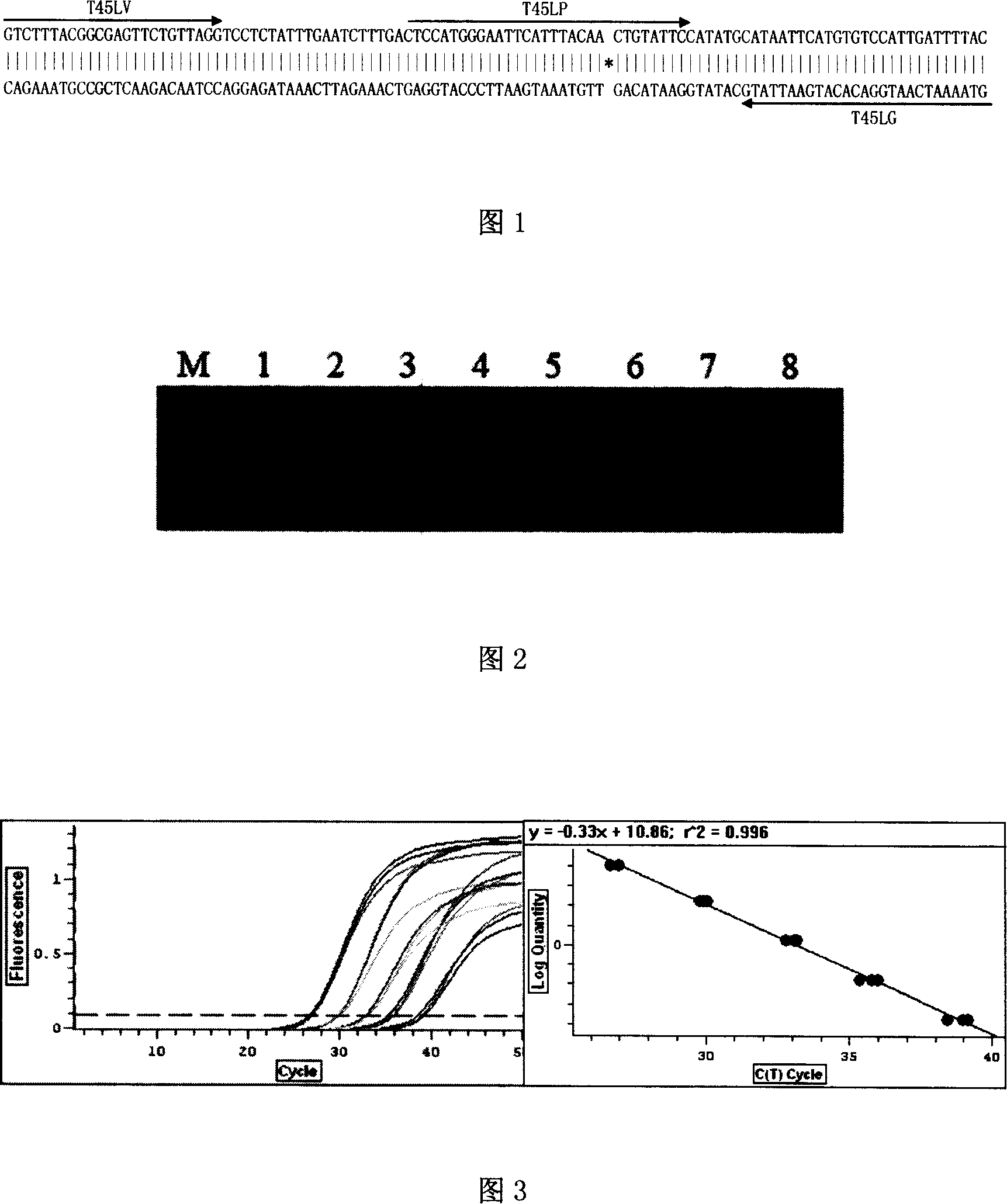 Left boundary flanking sequence of exogenous event inserting vector for transgenic rape T45 and its application