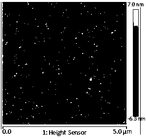 Iron-sulfur cluster and apoferritin complex and preparation method and application thereof