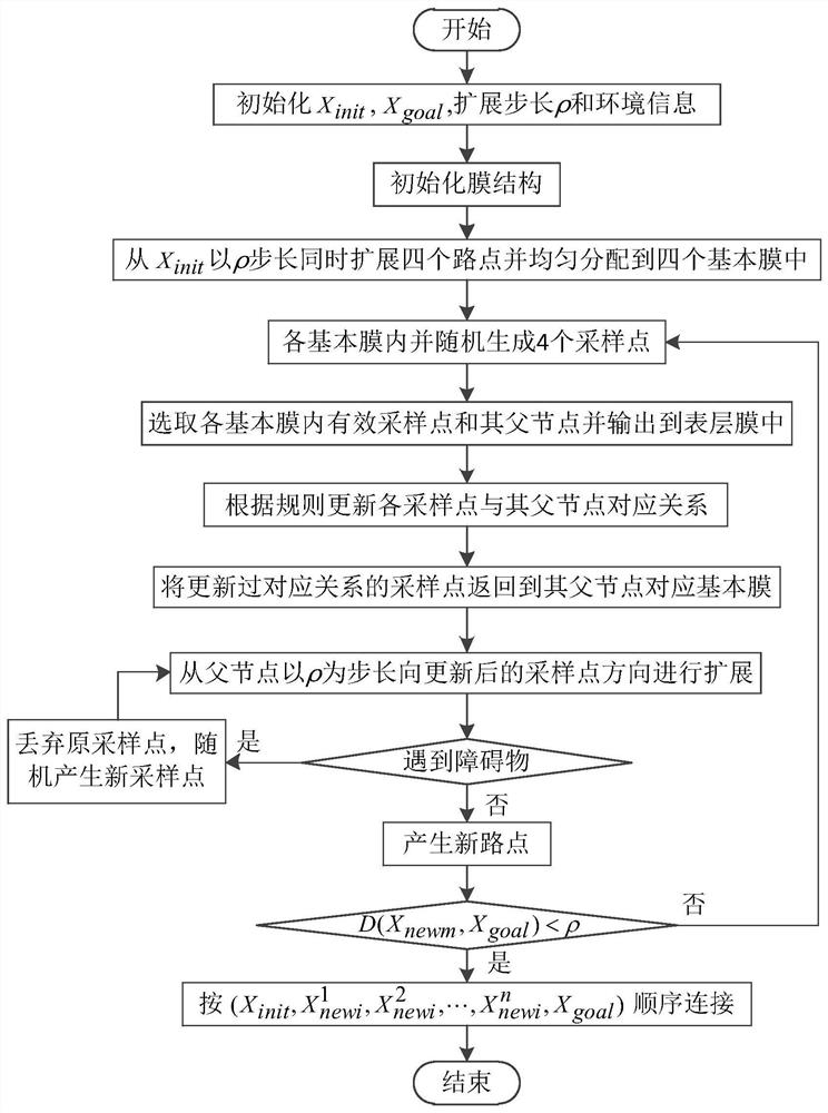 A Path Planning Method for Mobile Robots Fusing Membrane Computing and RRT