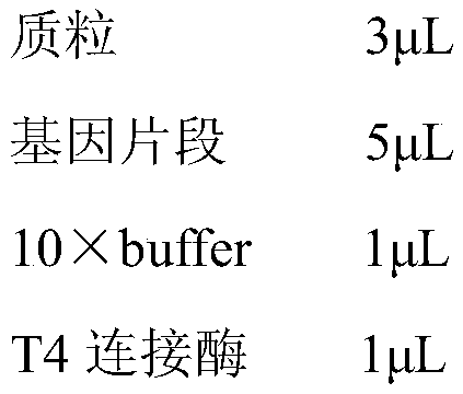 Composite enzyme and additive, their application and method for removing mycotoxin