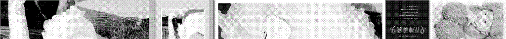 JPEG picture mosaicing-based oversize picture synthesis method