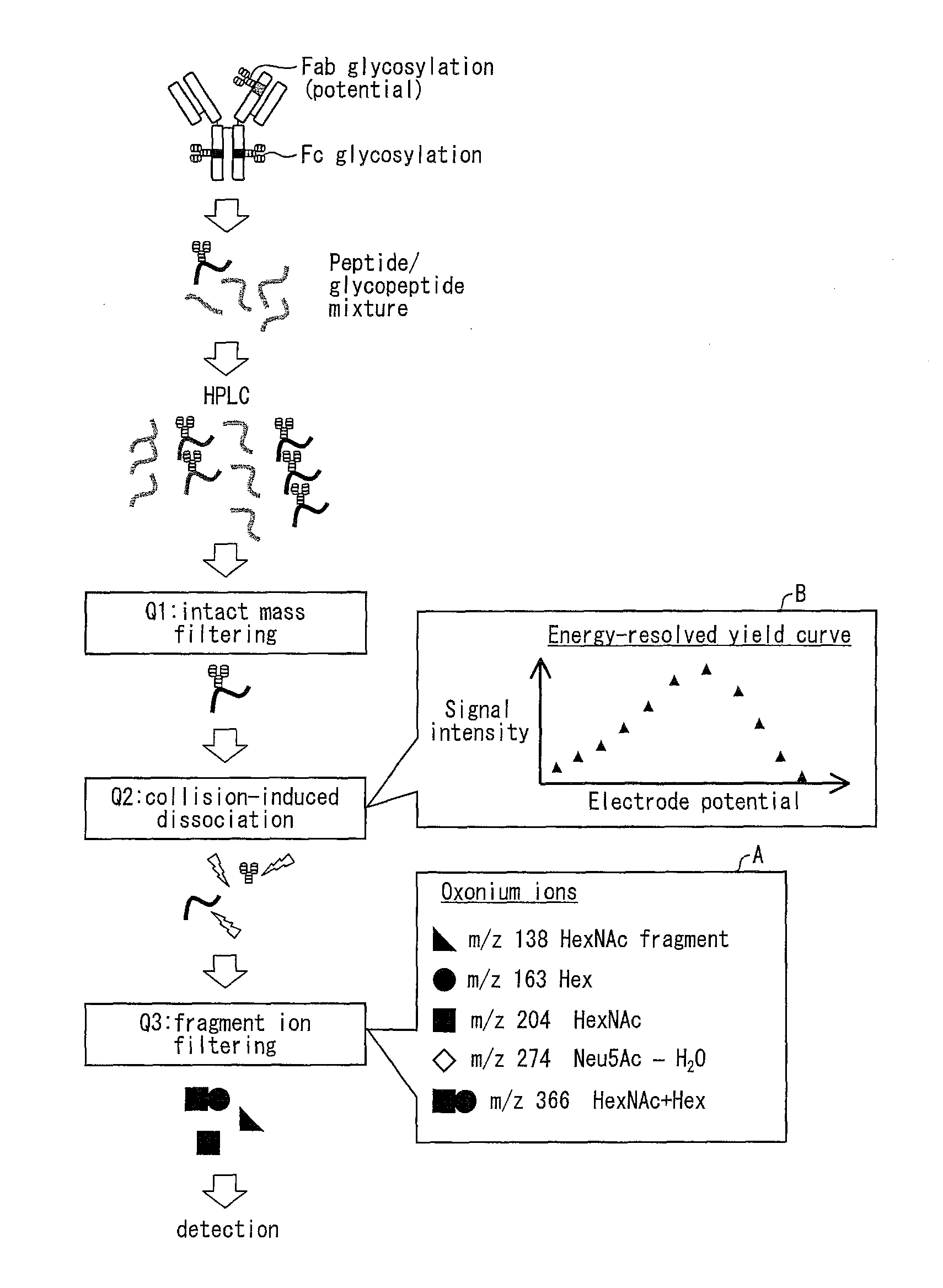 Method for analyzing glycan structure