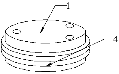 Novel vibration shoe device