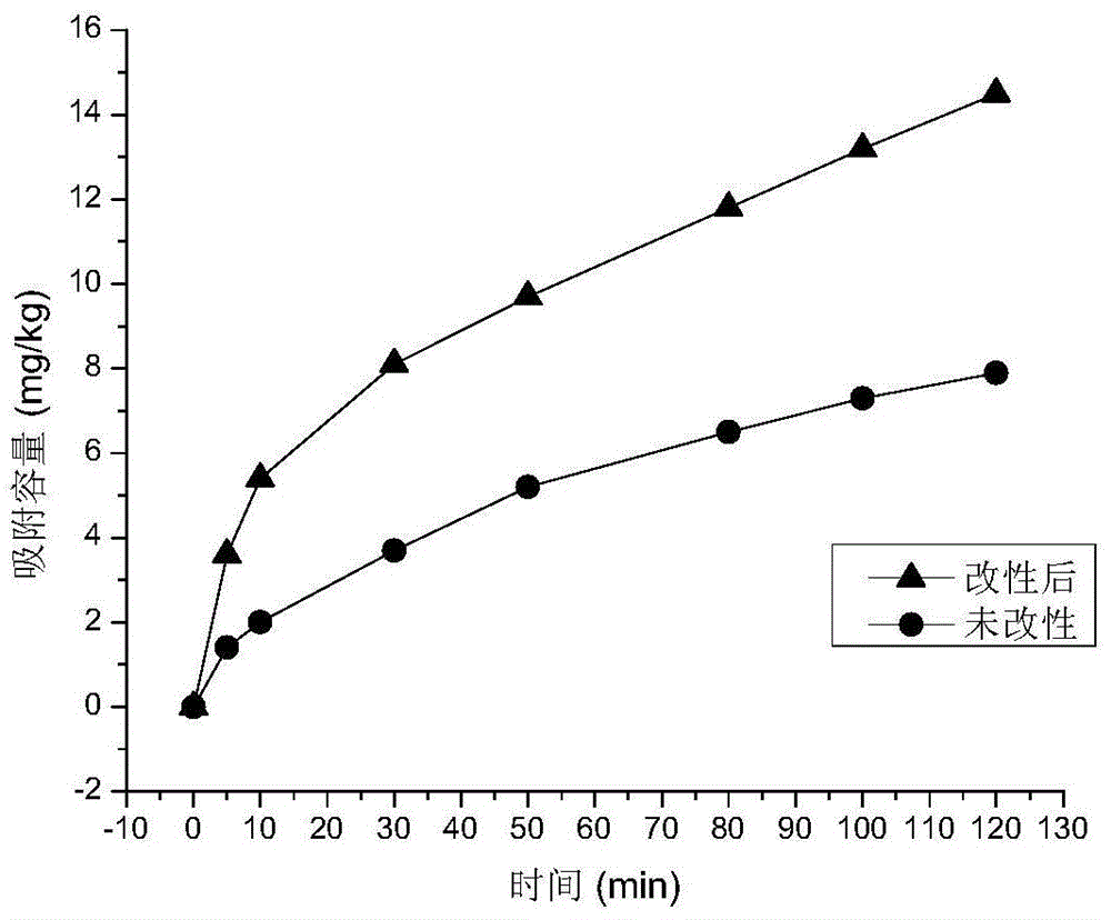 A method for in-situ immobilization of vanadium ore-contaminated soil by modified biochar