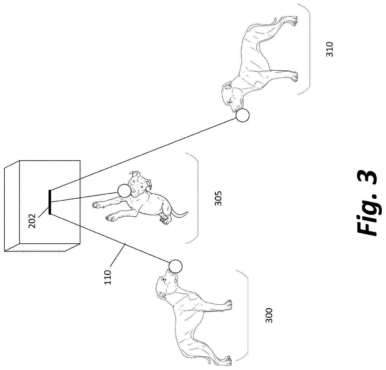 Automated recreational device for pets