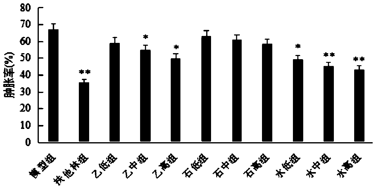 Anti-gout gel agent and preparation method and application thereof