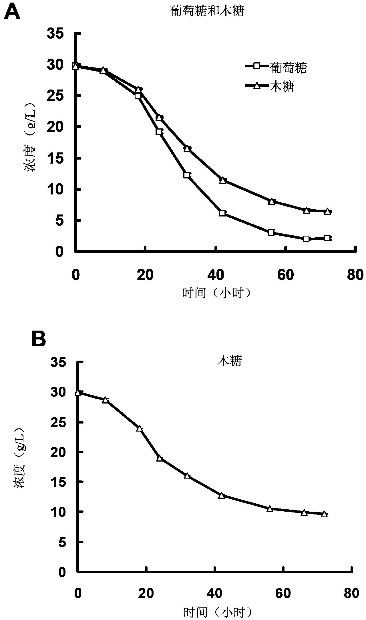 Method for increasing consumption rate of clostridium beijerinckii xylose
