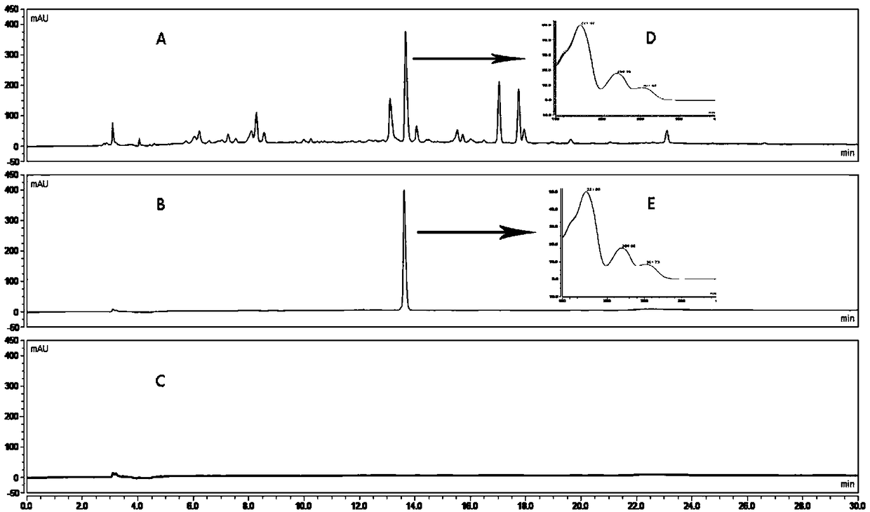 Content determination method of magnoflorine in dichocarpum sutchuenense medicinal material