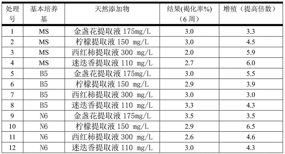 Phalaenopsis amabilis anti-browning tissue culture method taking lemon extract as anti-browning culture medium