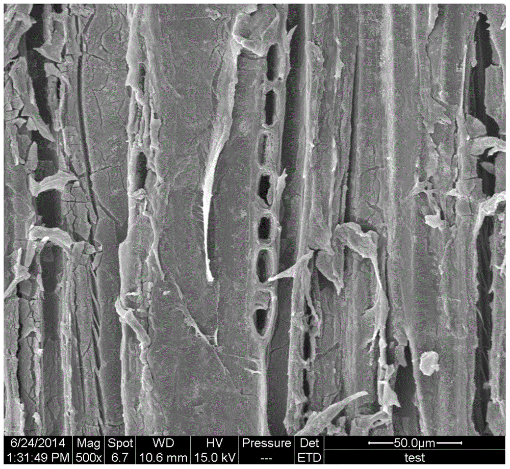 A magnetically responsive wood/fe  <sub>3</sub> o  <sub>4</sub> Preparation method of composite material