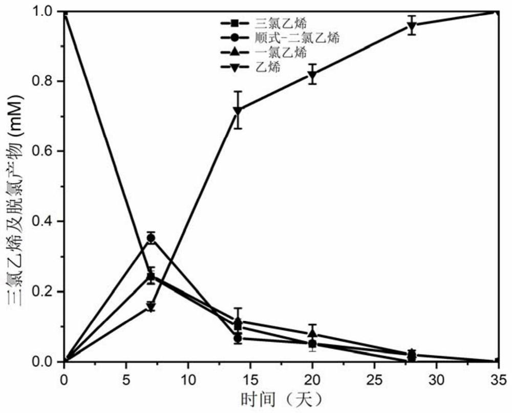 Anaerobic dehalogenation microbial agent and amplified production method thereof