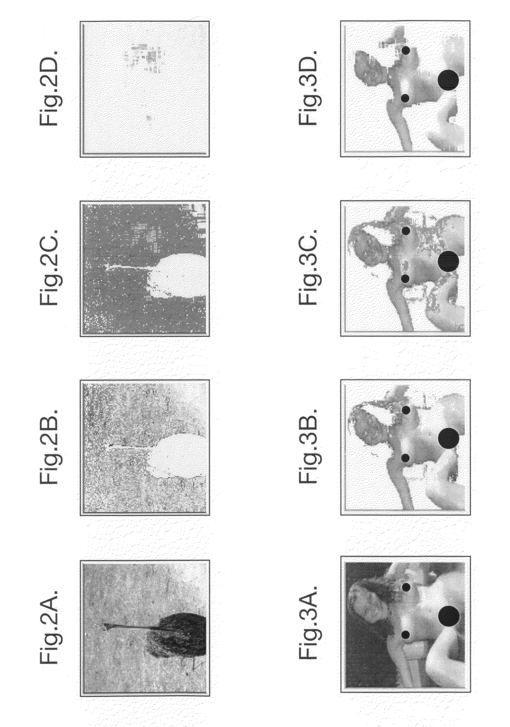 Scanning images for pornography