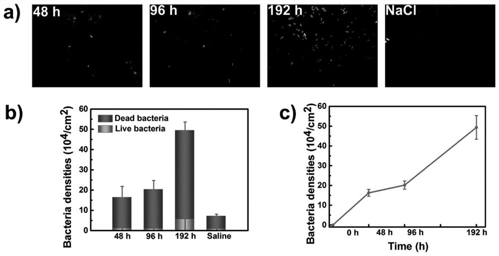 Antibacterial hydrogel with bactericidal, low bacterial adhesion and bacterial release, preparation method and application thereof