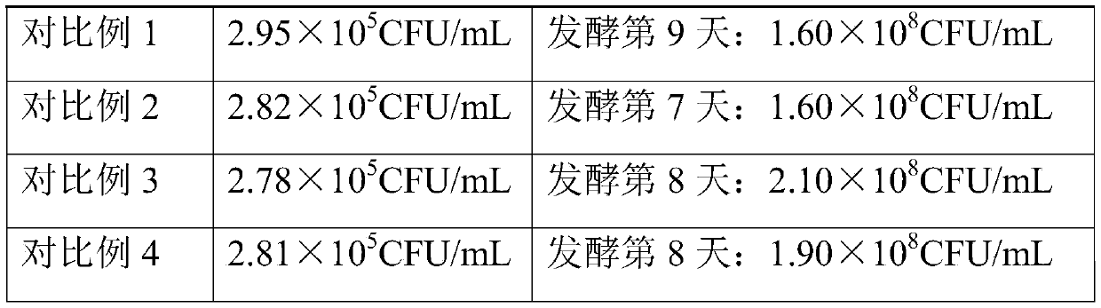 Folium mori protein hydrolysate, preparation method thereof and enzyme beverage prepared from folium mori protein hydrolysate