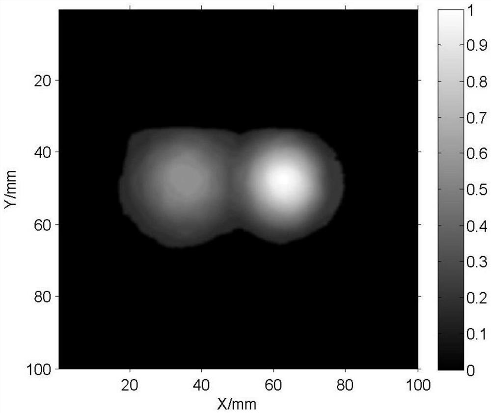 Ultrasonic image restoration method based on point spread function parameter optimization