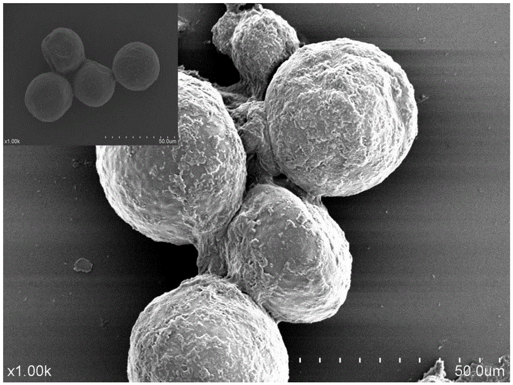 Method for achieving high yield of astaxanthin through haematococcus pluvialis