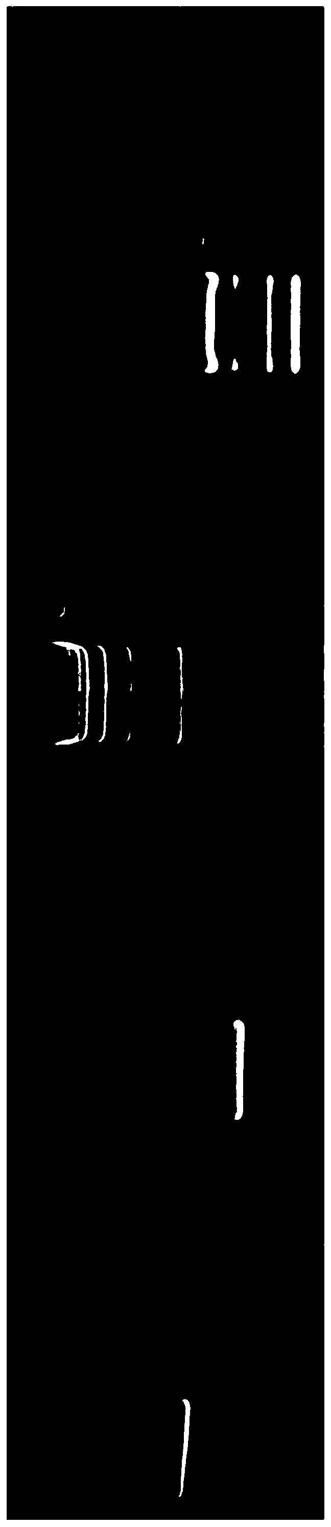 Nucleic acid gel electrophoresis testing method