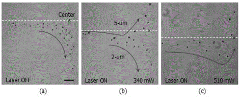 An optofluidic chip utilizing impinging flow and optical scattering force and its use for sorting micro-nano particles