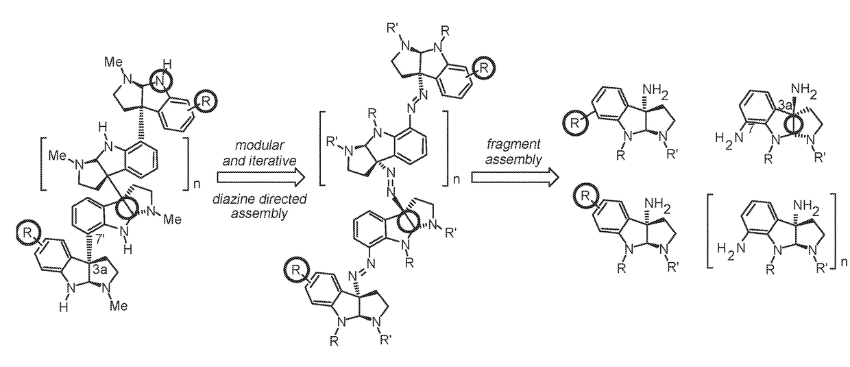 Diazene directed modular synthesis of compounds with quaternary carbon centers
