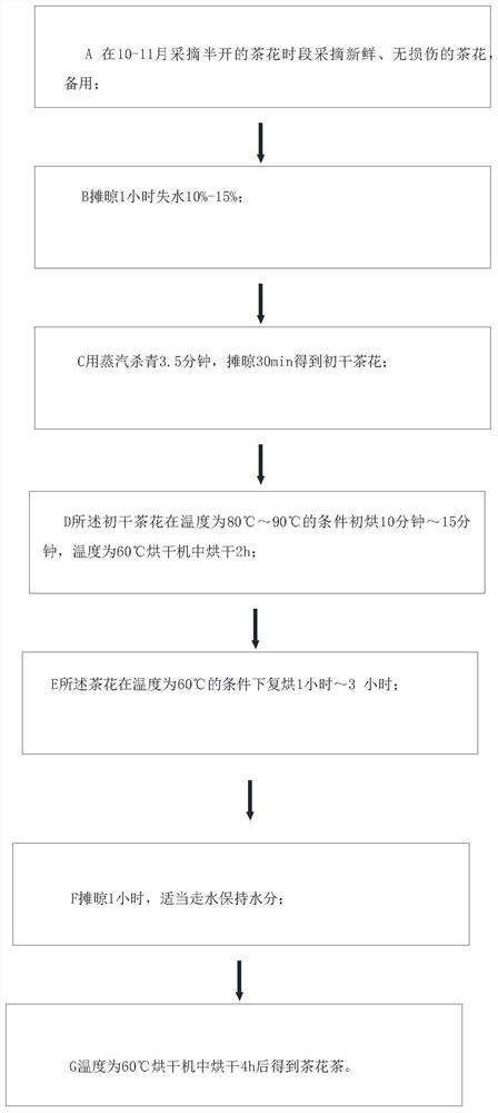 Preparation method of camellia tea