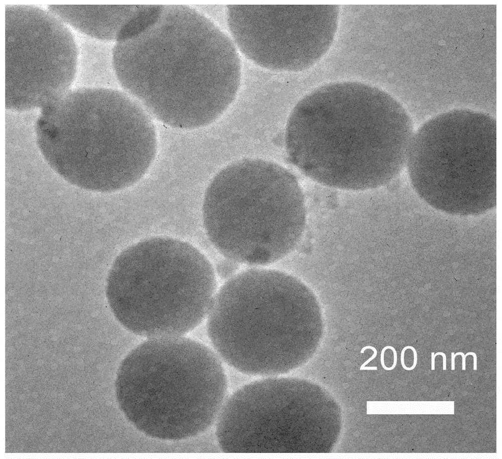 A kind of preparation method of sulfuric acid acidified mesoporous SIO2 colloidal sphere catalyst for synthesizing biodiesel