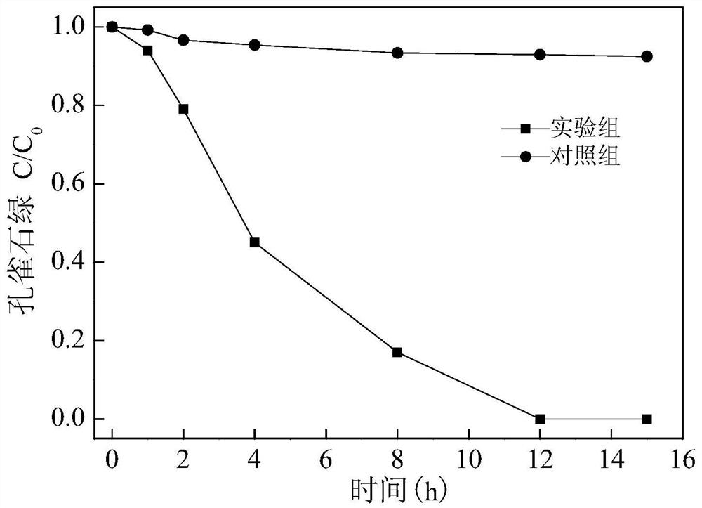 A method for degrading malachite green wastewater using loofah sac loaded with Saccharomyces cerevisiae