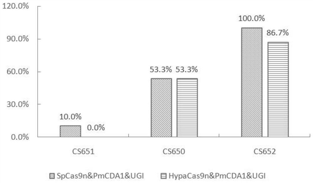 A nickase and its application in genome base replacement