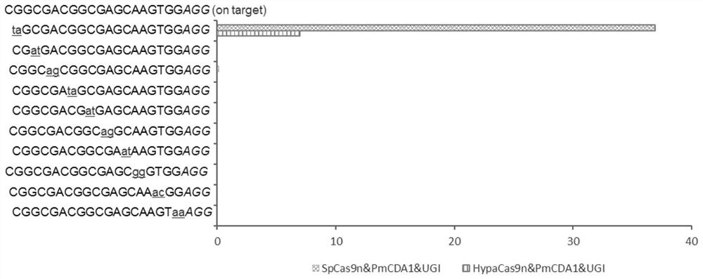 A nickase and its application in genome base replacement