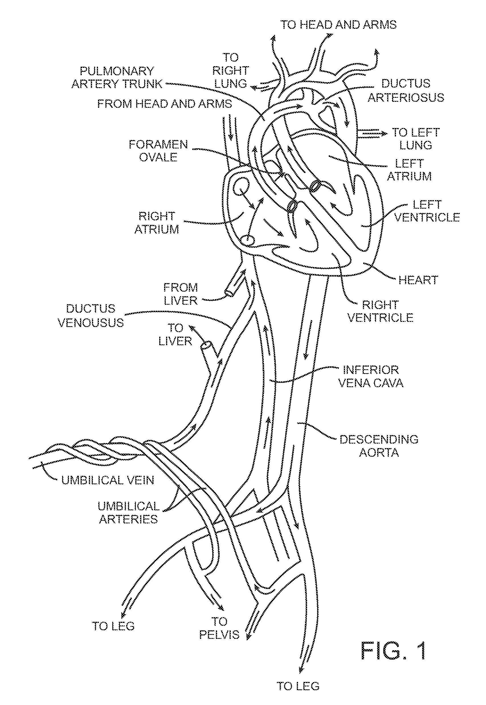 Energy based devices and methods for treatment of anatomic tissue defects