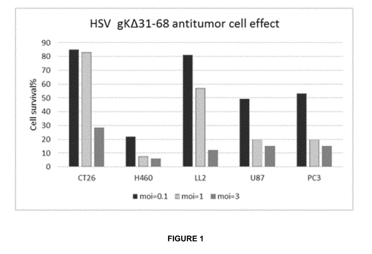 Oncolytic viruses & methods of use thereof