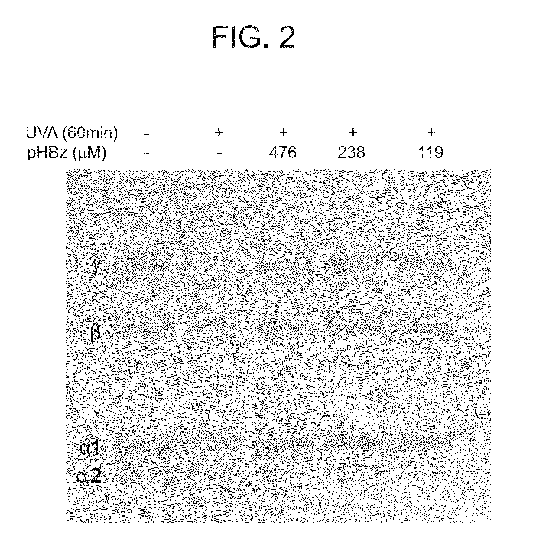 Nitrone compounds and their use in personal care