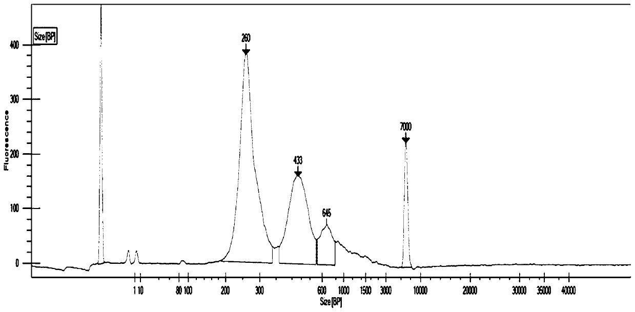 Nucleic acid linker for high-throughput sequencing and library construction method