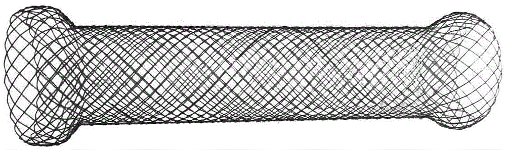 Nanogold film memory alloy esophageal stent and preparing method thereof