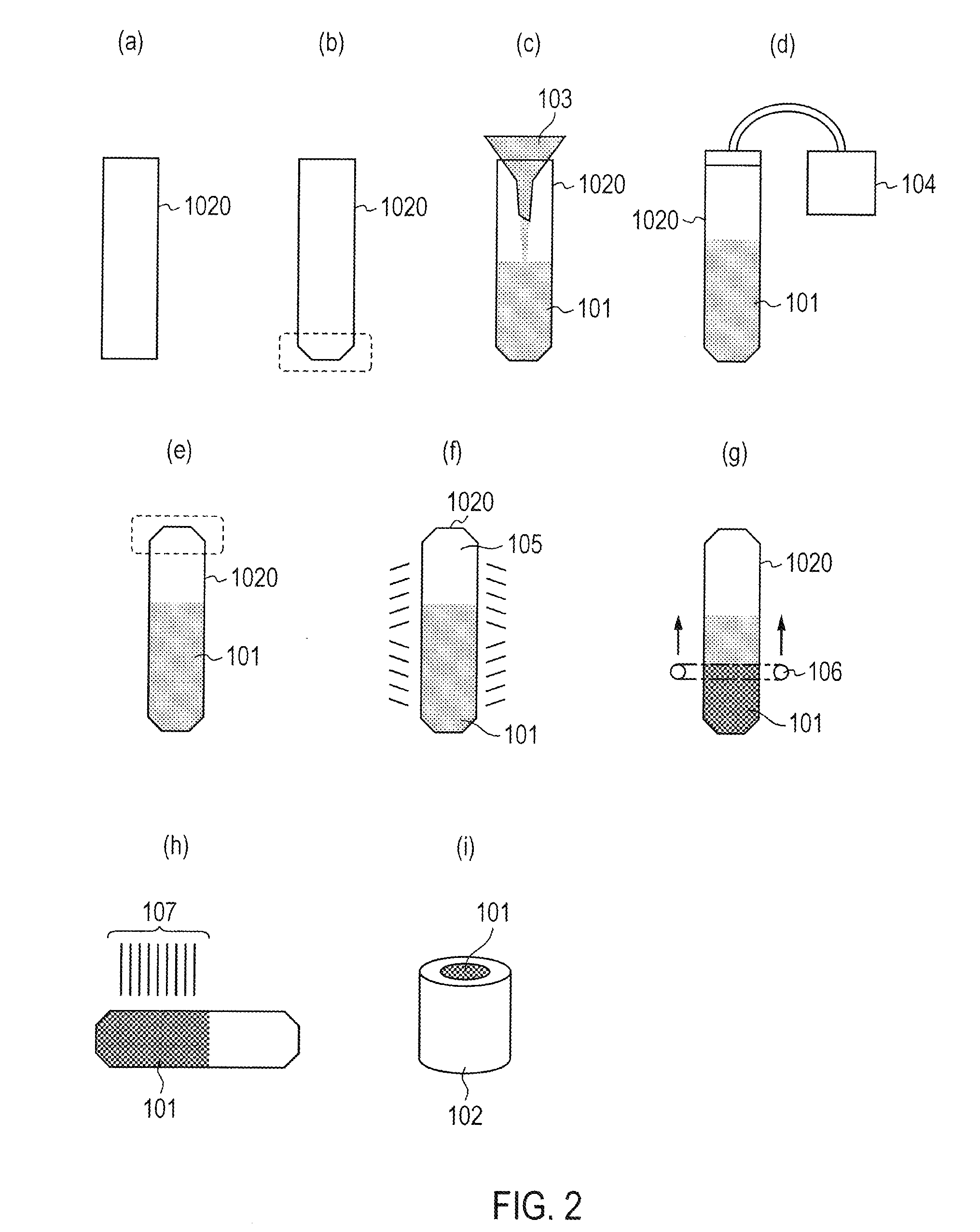 Thermoelectric conversion element module and method of manufacturing the same