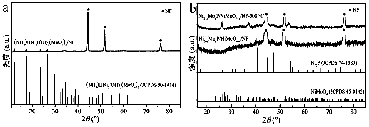 Non-noble metal hydrogen evolution electrocatalyst based on synergistic modification and preparation method thereof