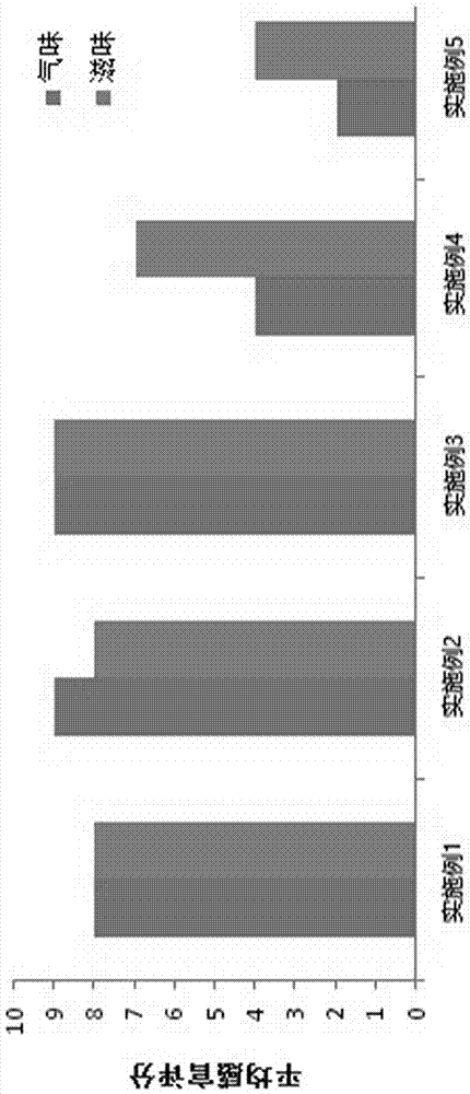 Preparation method and application of rape pollen enzyme stock solution