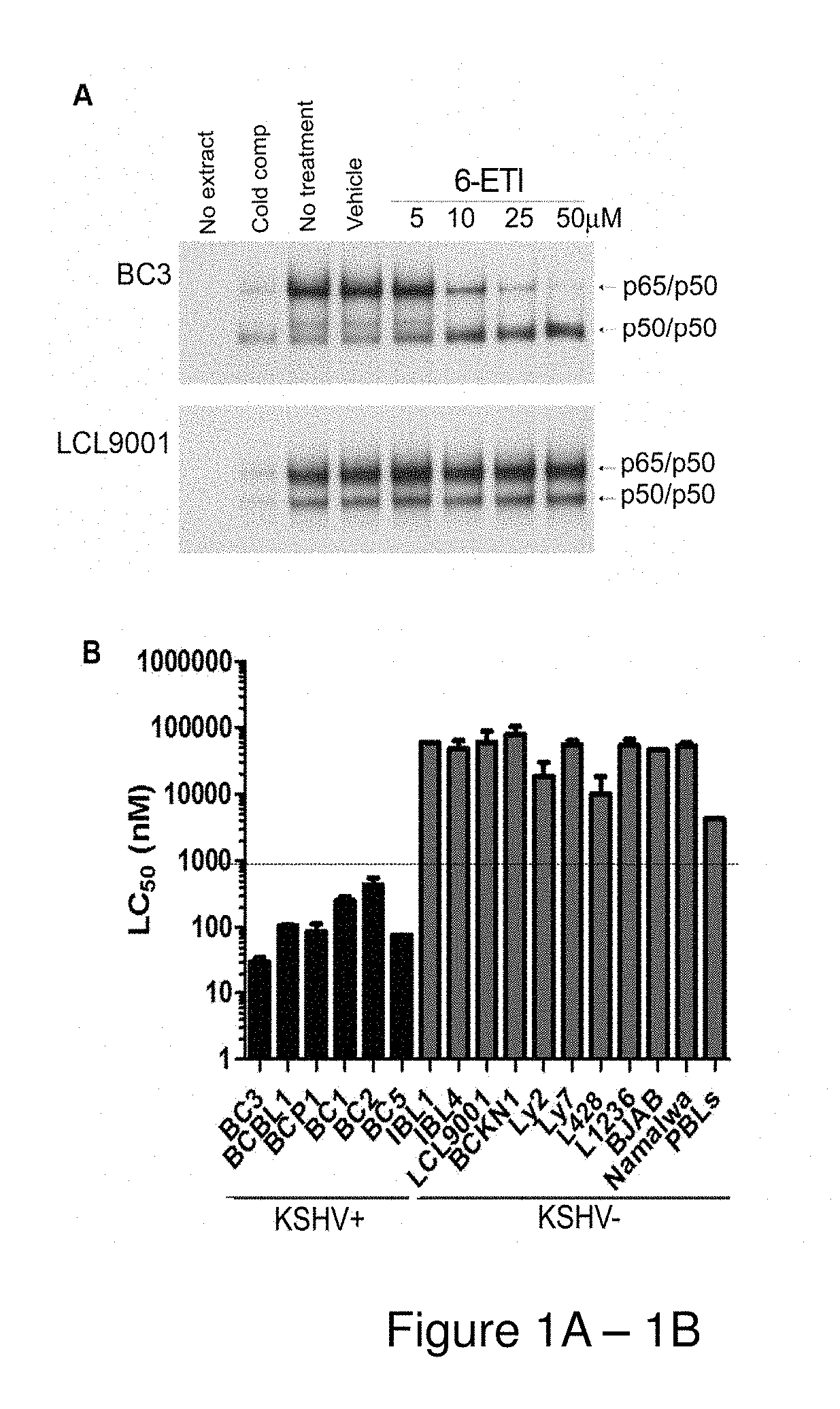 Novel nucleoside analogs and use thereof in therapeutic treatment