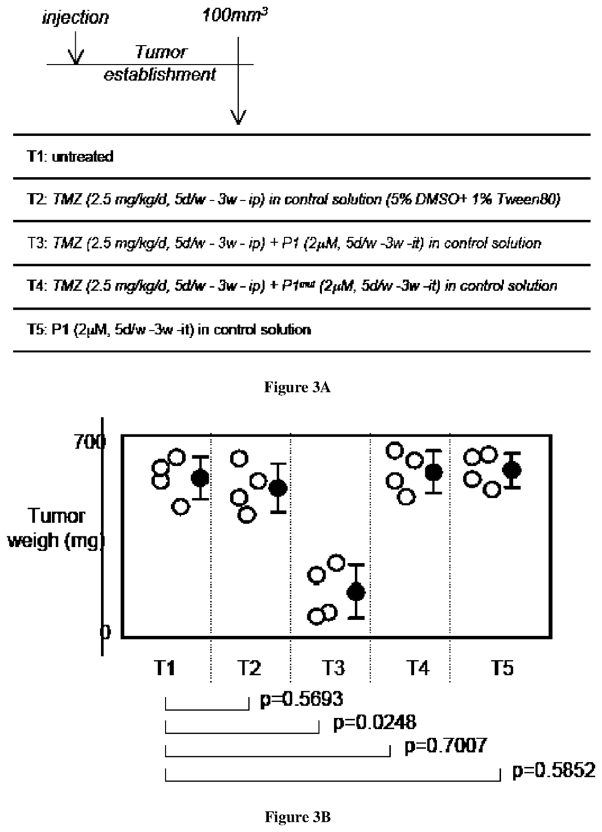 Method for treating and prognosing cancer