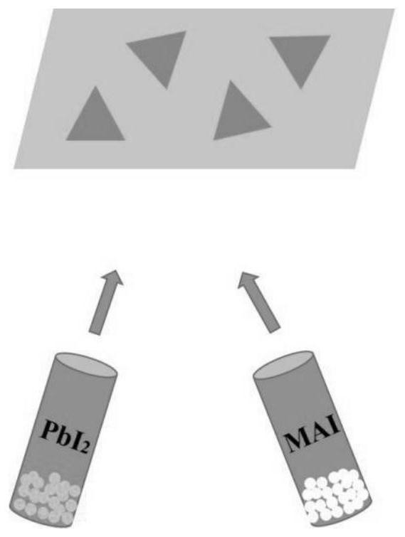 PVK-TMDCs Van der Waals heterojunction and preparation method thereof