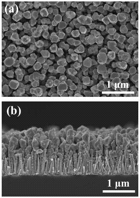 A kind of zinc oxide/strontium ruthenate core-shell nanowire and its preparation method