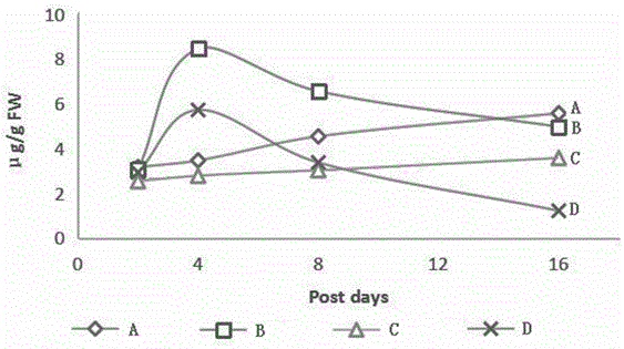 HPLC detection method of content of jasmonic acid in sugarcane leaf