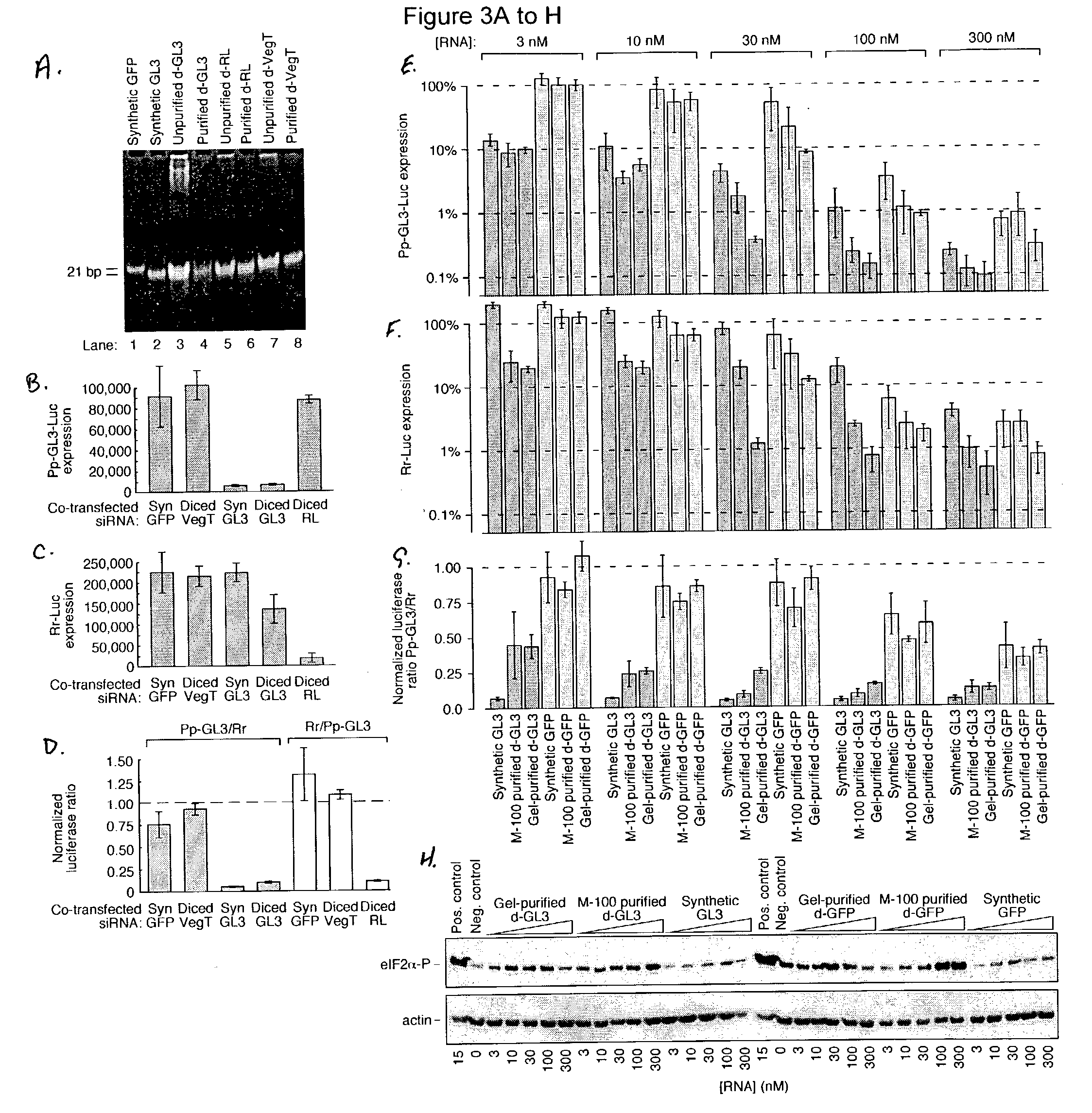 Methods and compositions for use in preparing siRNAs