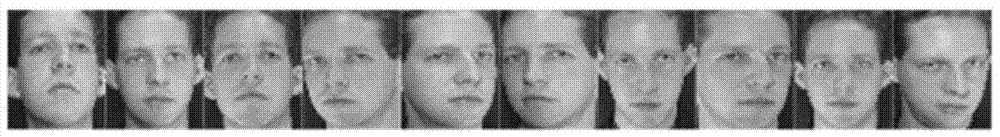 An online face authentication method based on homomorphic encryption and chaotic scrambling