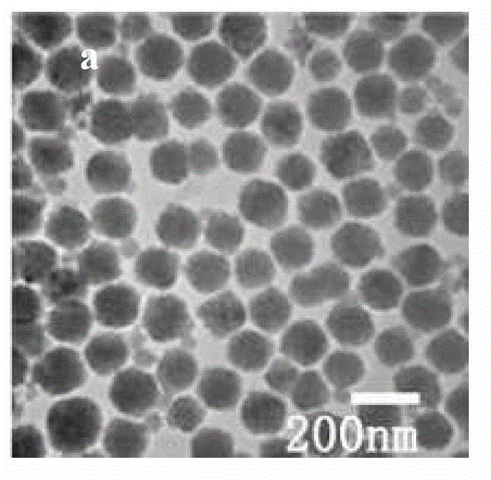 In-water-phase monodisperse sodium yttrium tetrafluoride multi-color luminescent nanoparticle and preparation method thereof