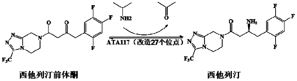Recombinant R-Omega-transaminase, mutant and application of recombinant R-Omega-transaminase and mutant in asymmetrically synthesizing sitagliptin