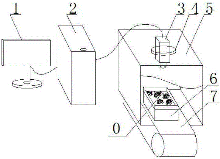 Machine vision based whole case red grape fruit size grading device and method