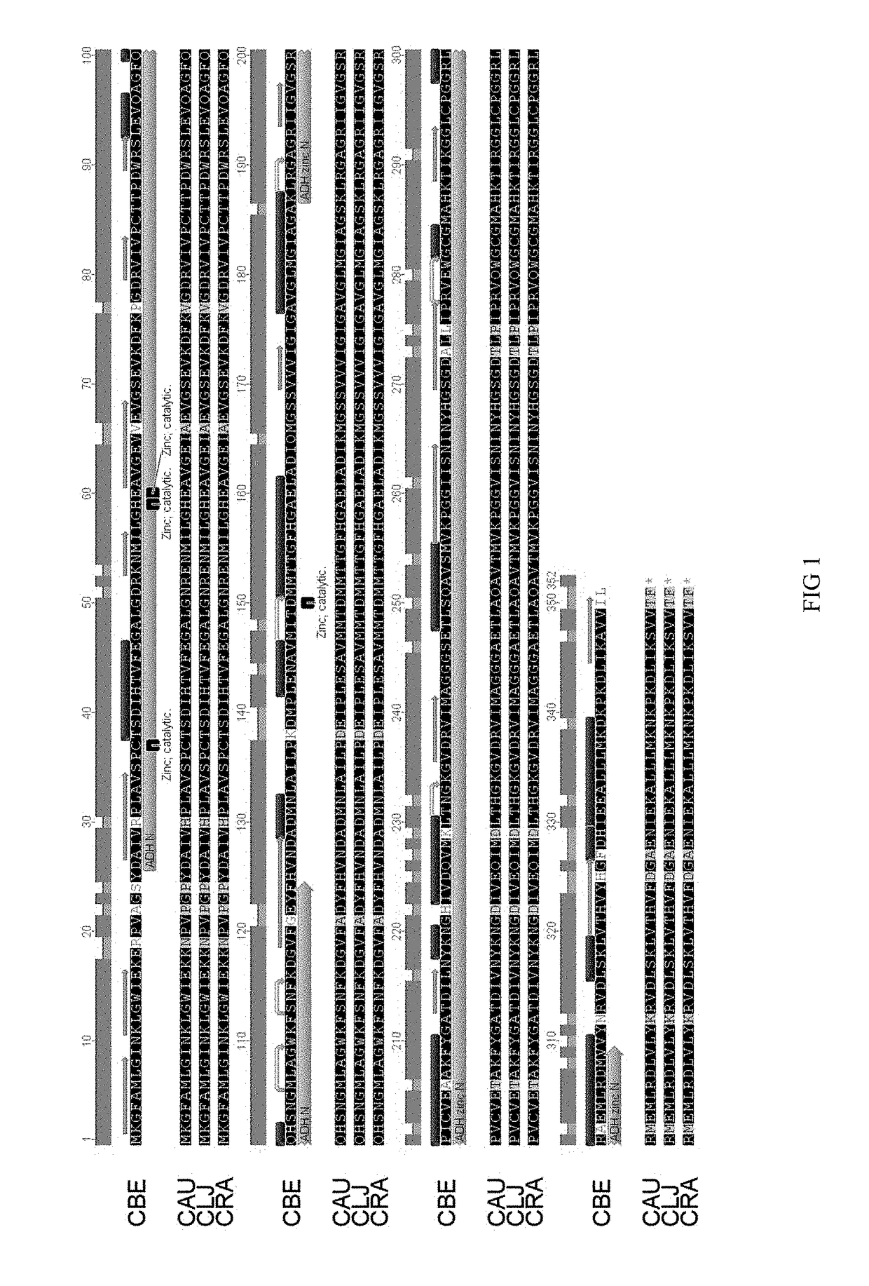 Recombinant microorganisms and uses therefor