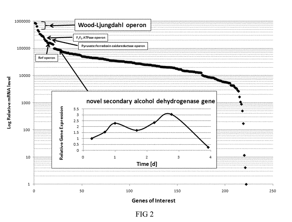 Recombinant microorganisms and uses therefor